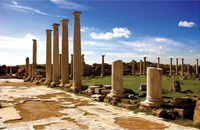 magosa salamis